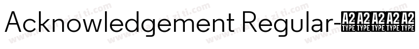 Acknowledgement Regular字体转换